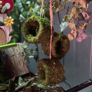 May include: Two green moss-covered hanging toys for small animals. The toys are shaped like rings and are suspended from a string with a wooden ring at the top.