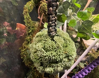 Accesorio para reptiles de paracord con vegetación artificial Wrecking Ball (PEQUEÑO)