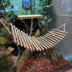 Puede incluir: Un puente de bamb&uacute; con cuentas marrones para un recinto de reptiles. El puente est&aacute; suspendido entre dos ramas y tiene un fondo verde frondoso.