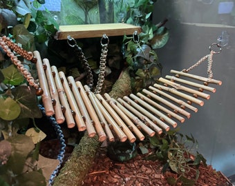 Natuurlijke bamboe reptielenbrug: terrariumklimdecor
