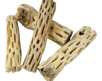 Troncos de madera de cholla - Piezas de 2” a 6” - Decoración para reptiles y acuarios - Compre más y ahorre