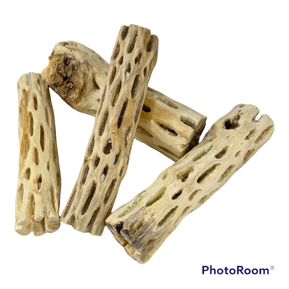 Cholla Wood Logs - 6" (2 Sizes) Buy More & Save