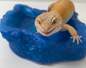 The Watering Hole - Reptilien Futter- und / oder Wasserschale - Benutzerdefinierte Farben (Spülmaschinen sicher!)