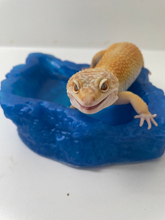 The Watering Hole - Feeding and/or Watering Dish - Custom Colors (Dishwasher Safe!)