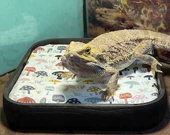May include: A black rectangular reptile bed with a white fabric liner featuring a mushroom pattern. A light brown bearded dragon lizard is resting on the bed.