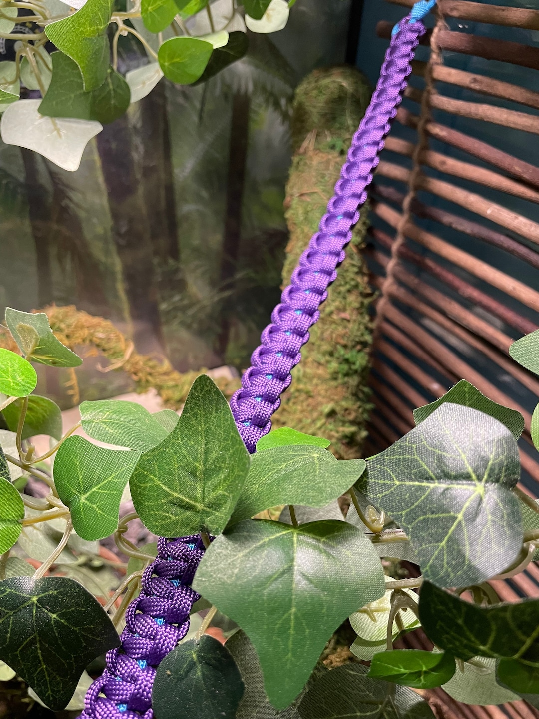 Vines Like Ropes Simile Backroad Rope Reptile Paracord Vine and Bridge (includes Suction Cups ...