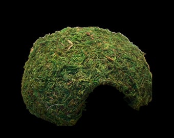 Hidin' In Half Shell - Moss Covered Coconut Hide for Reptiles