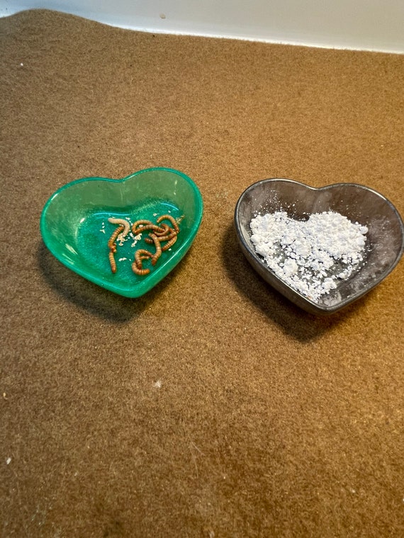 Heart Bowl - Feeder, Calcium and Water Bowl - Custom Colors (Dishwasher Safe!)
