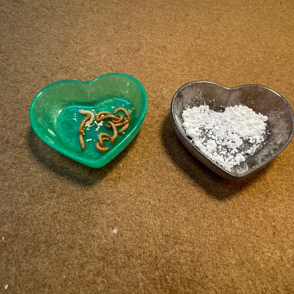 Worm, Calcium and Water Bowl (Heart) - Custom Colors (Dishwasher Safe!)
