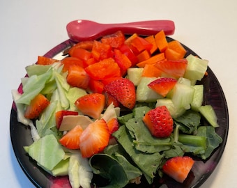 Plato de ensalada para reptiles/plato de alimentación para mascotas (colores personalizados y apto para lavavajillas)