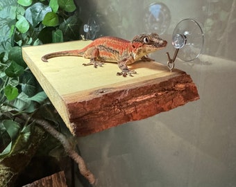 Shelf Life - Waterproofed Natural Wood Shelf Reptile Lounger