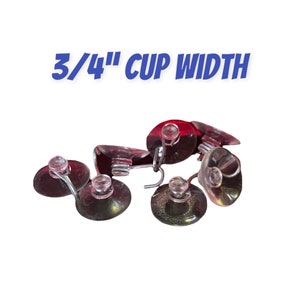 Small Suction Cups with Metal Hook (Glass Use Only)