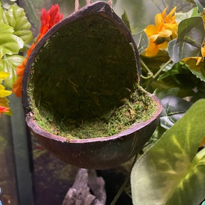 May include: A hanging coconut shell birdhouse with a green moss lining. The birdhouse is suspended by twine and is surrounded by green and yellow artificial plants.