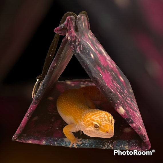 In-Tent-s (Hanging or Flush) Reptile and Small Pet Heavy Duty Tent Hide (With Optional Fluffy Puffy Pillow)