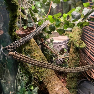 ByWay Highway Multidirecional Paracord Vine e Ponte