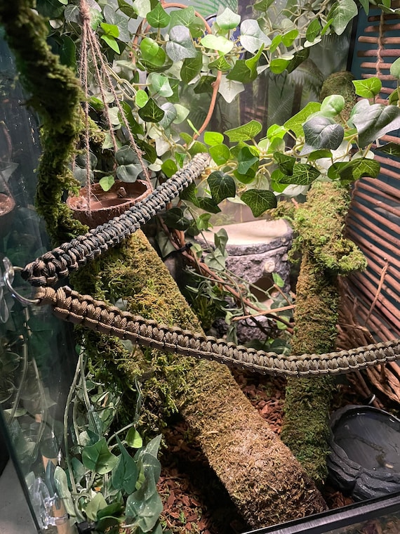 ByWay Highway Multi-Directional Paracord Vine and Bridge