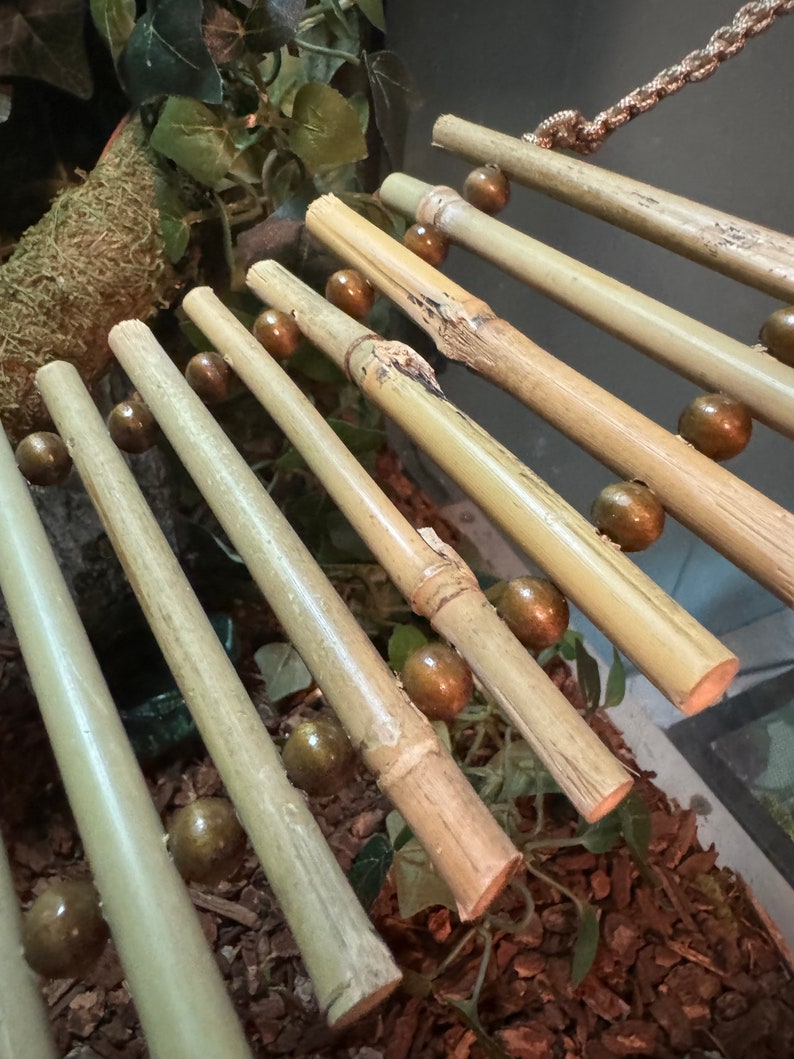Puede incluir: Un juguete de madera para animales peque&ntilde;os, hecho de palos de bamb&uacute; natural con cuentas de madera marr&oacute;n enhebradas entre ellos. El juguete est&aacute; suspendido del techo con una cuerda.