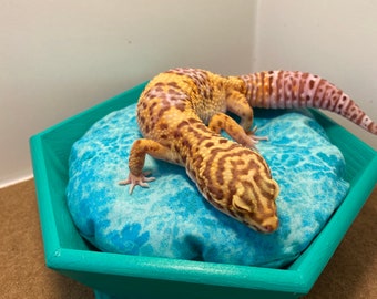 Sploota’s Paradise Cozy Reptile Bed