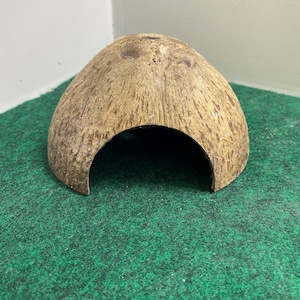 Raw Hide - Coconut Hide