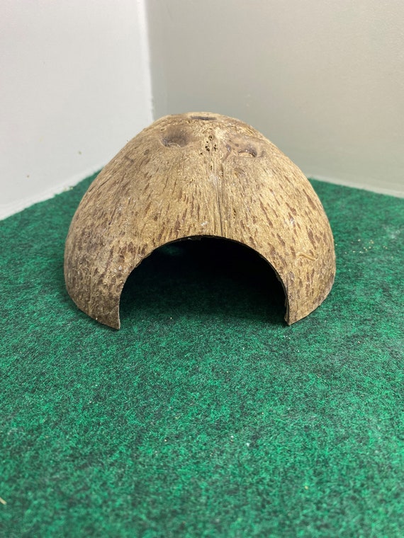 Raw Hide - Coconut Hide