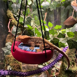 Sunny Daze Swing - Finished Natural Wood