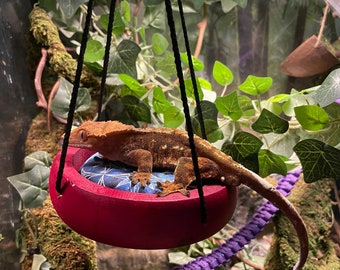 Columpio para reptiles Sunny Daze - Madera natural con acabado (colores personalizados)