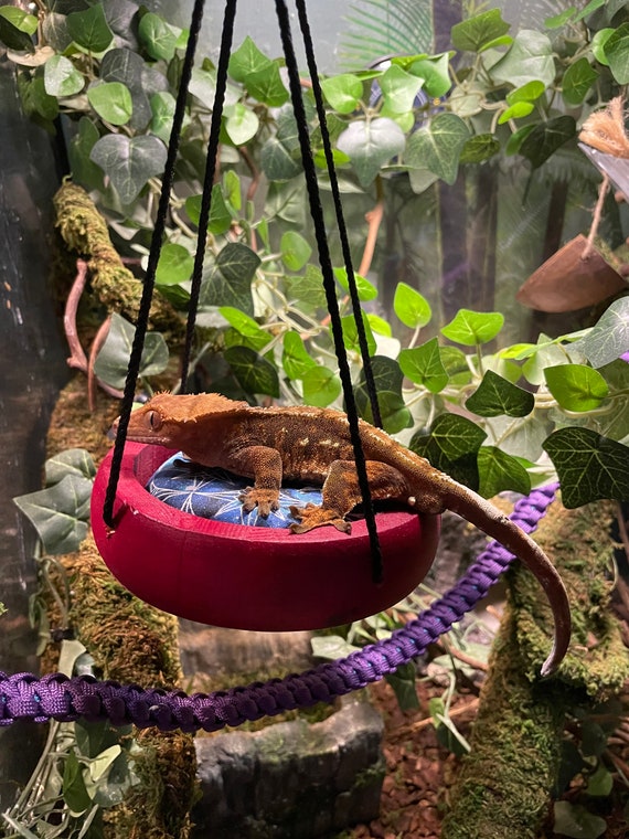 Sunny Daze Swing - Finished Natural Wood
