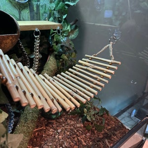 Puede incluir: Un puente colgante de bamb&uacute; y madera marr&oacute;n con peque&ntilde;as cuentas marrones para un recinto de reptiles o animales peque&ntilde;os.