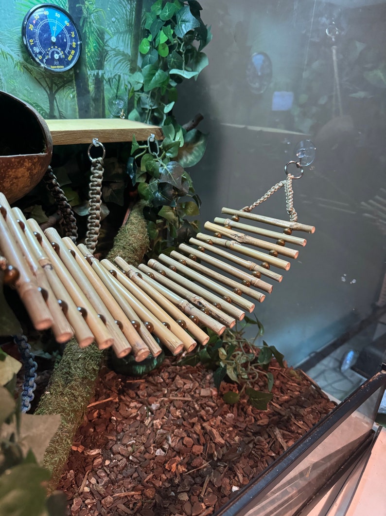 Puede incluir: Un puente colgante de bamb&uacute; y madera marr&oacute;n con peque&ntilde;as cuentas marrones para un recinto de reptiles o animales peque&ntilde;os.