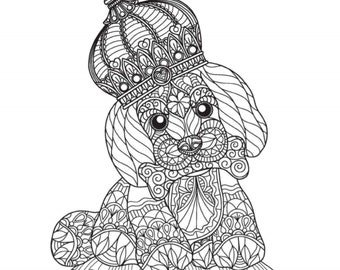 Download Animal Coloring Book Etsy