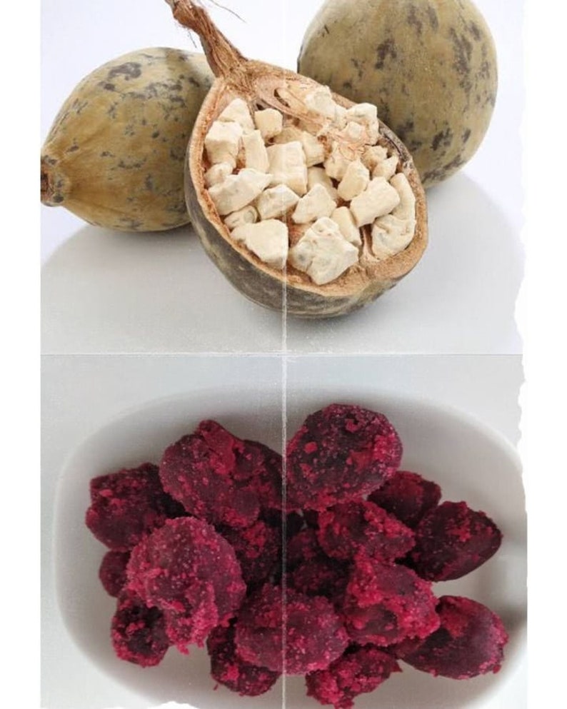 Sweet Baobab. Famously Known as Ubuyu or Mabuyu Etsy UK