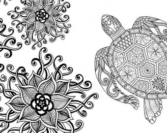 turtle coloring page etsy