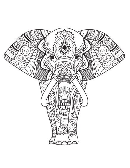 Elephant Adult Coloring Page - Etsy