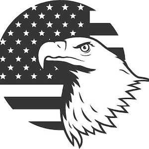 American Flag and Eagle, Permanent Adhesive Vinyl Decal