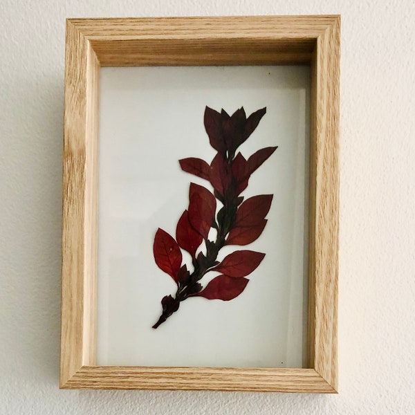 Pressed Flower Frame Etsy Australia