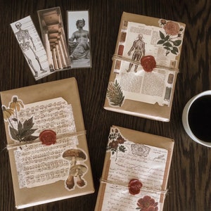 Blind Date With A Book & Cozy Beverage  | Pick Your Genre | Mystery Book | Dark Academia | Surprise Book | Gift for Book Lovers
