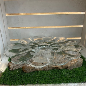 Può includere: Un porta torta in vetro trasparente con un bordo ondulato si trova su un pezzo di corteccia d'albero. La corteccia è su un letto di erba artificiale verde.