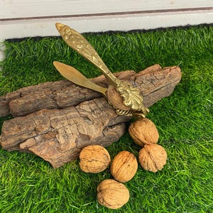 Op de afbeelding: Een antieke messing notenkraker met sierlijke bloemendetails, die een walnoot kraakt. Verschillende hele walnoten liggen verspreid op een bed van groen gras, naast een stuk hout.