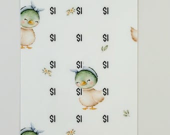 Duck Dollars Mini Savings Challenge