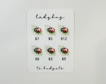 Ladybug Mini Savings Challenge