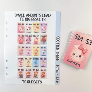 May include: A white planner insert with the text SMALL AMOUNTS LEAD TO BIG RESULTS and TS BUDGETS, featuring a grid of colourful icons with dollar amounts. Beside it is a stack of pink cards with a marshmallow character and the text $14 $3 TS BUDGETS.