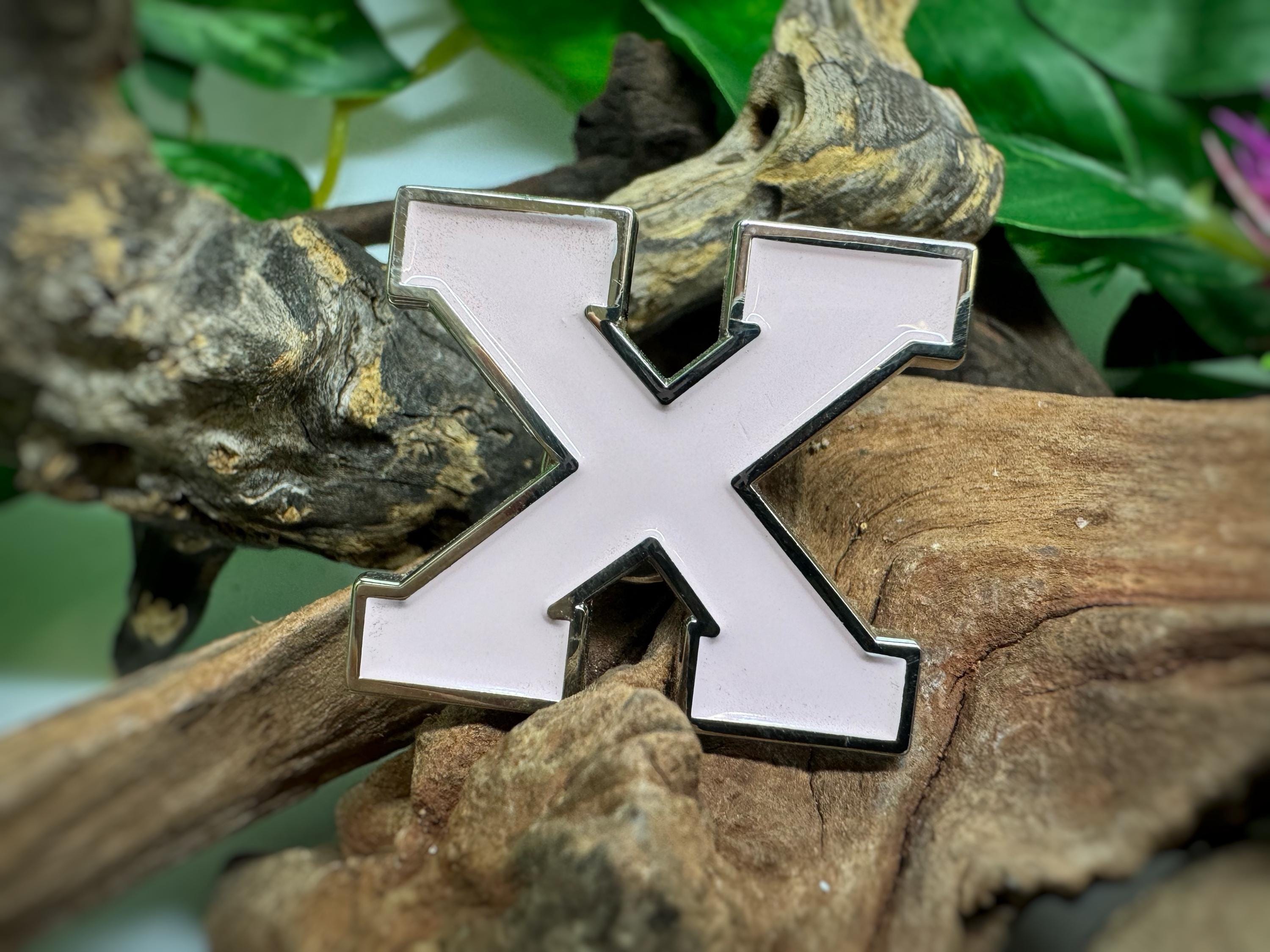 Pink University X Enamel Pin with Silver Border I Straight Edge Pin I xsisterhoodx