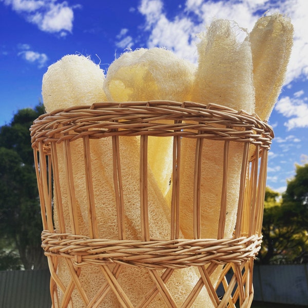 Natural Loofah sponge, Australian grown!