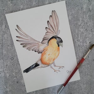 Aquarelle oiseau/aquarelle originale/aquarelle peinte à la main/aquarelle unique  18x25 cms