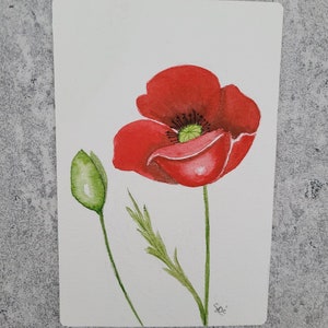 carte aquarelle originale fleur coquelicot/carte aquarelle fait main/carte coquelicot/carte fleur /carte avec enveloppe