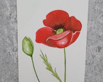 carte aquarelle originale fleur coquelicot