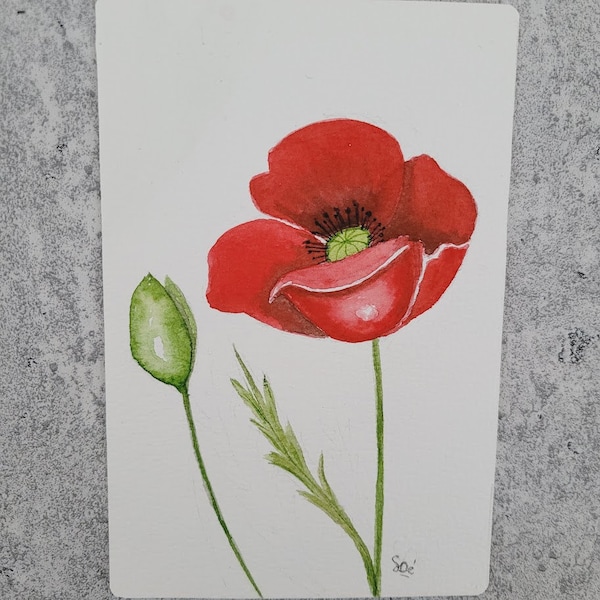 carte aquarelle originale fleur coquelicot