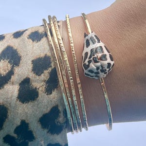May include: A set of four thin, gold-toned metal bangles with a hammered texture. One bangle features a single, natural cone-shaped seashell with a distinct black and white spotted pattern attached to the metal band as a decorative element.