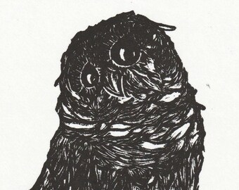 Owl Linocut Print: 'Little Owl'
