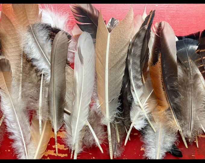 Assorted Medium Feathers Cruelty Free, From Happy Birds Etsy